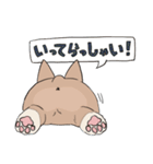 コーギーのむにむに（個別スタンプ：6）