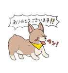 コーギーのむにむに（個別スタンプ：7）