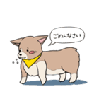 コーギーのむにむに（個別スタンプ：8）