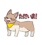 コーギーのむにむに（個別スタンプ：9）