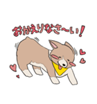 コーギーのむにむに（個別スタンプ：10）