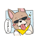 コーギーのむにむに（個別スタンプ：12）