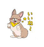 コーギーのむにむに（個別スタンプ：13）