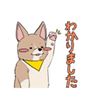 コーギーのむにむに（個別スタンプ：14）