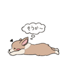 コーギーのむにむに（個別スタンプ：21）