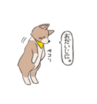 コーギーのむにむに（個別スタンプ：22）