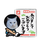 かわいい猫たちね（個別スタンプ：4）