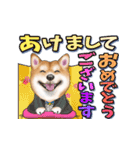 柴犬さんのあけおめスタンプ（再販）（個別スタンプ：2）