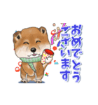 柴犬さんのあけおめスタンプ（再販）（個別スタンプ：5）