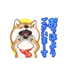 柴犬さんのあけおめスタンプ（再販）（個別スタンプ：13）