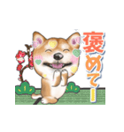 柴犬さんのあけおめスタンプ（再販）（個別スタンプ：18）