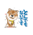 柴犬さんのあけおめスタンプ（再販）（個別スタンプ：19）