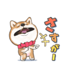 柴犬さんのあけおめスタンプ（再販）（個別スタンプ：20）