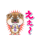 柴犬さんのあけおめスタンプ（再販）（個別スタンプ：21）