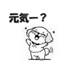 まいにちシーズー 年末年始編 犬 いぬ イヌ（個別スタンプ：28）