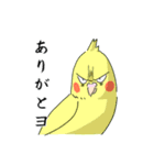 にぎやかしインコ（個別スタンプ：3）