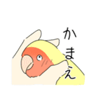 にぎやかしインコ（個別スタンプ：6）