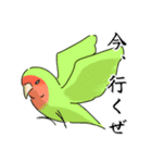 にぎやかしインコ（個別スタンプ：11）