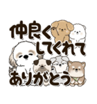 シーズー犬2024 『主に年末用です』（個別スタンプ：6）