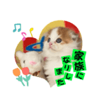 ねこまーち にこにこプリンス（個別スタンプ：8）