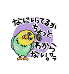 インコの大冒険 年末年始version2.2.（個別スタンプ：26）