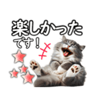 毎日必ず使う！日常会話☆敬語☆猫（個別スタンプ：1）