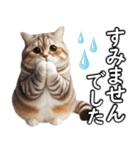 毎日必ず使う！日常会話☆敬語☆猫（個別スタンプ：3）