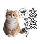 毎日必ず使う！日常会話☆敬語☆猫（個別スタンプ：5）