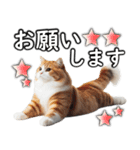 毎日必ず使う！日常会話☆敬語☆猫（個別スタンプ：14）