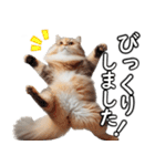 毎日必ず使う！日常会話☆敬語☆猫（個別スタンプ：22）