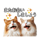 毎日必ず使う！日常会話☆敬語☆猫（個別スタンプ：25）