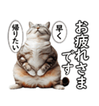 毎日必ず使う！日常会話☆敬語☆猫（個別スタンプ：27）