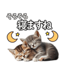 毎日必ず使う！日常会話☆敬語☆猫（個別スタンプ：29）