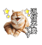 毎日必ず使う！日常会話☆敬語☆猫（個別スタンプ：32）