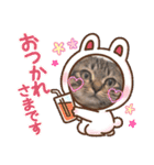 キジトラオンリー（個別スタンプ：11）