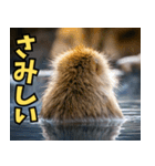 温泉でまったり♪癒しの猿たち（個別スタンプ：21）