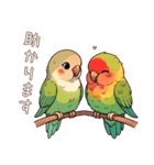 コザクラインコ チッピちゃん その3（個別スタンプ：4）