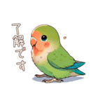 コザクラインコ チッピちゃん その3（個別スタンプ：7）