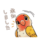 コザクラインコ チッピちゃん その3（個別スタンプ：17）