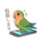 コザクラインコ チッピちゃん その3（個別スタンプ：22）