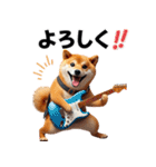 柴犬ギタリスト（個別スタンプ：1）