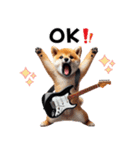 柴犬ギタリスト（個別スタンプ：2）