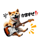 柴犬ギタリスト（個別スタンプ：14）