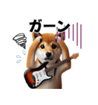 柴犬ギタリスト（個別スタンプ：17）