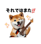 柴犬ギタリスト（個別スタンプ：19）