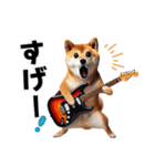 柴犬ギタリスト（個別スタンプ：24）