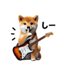 柴犬ギタリスト（個別スタンプ：25）