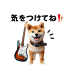 柴犬ギタリスト（個別スタンプ：31）