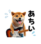 柴犬ギタリスト（個別スタンプ：34）