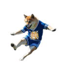 柴犬太の日常会話【サッカー部】（個別スタンプ：1）